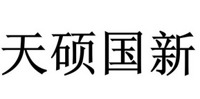 天硕国新