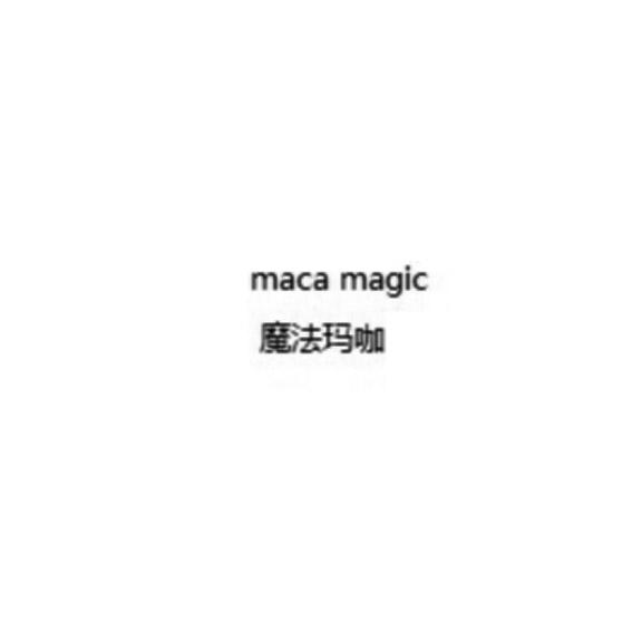 魔法玛咖 MACA MAGIC;MACA MAGIC