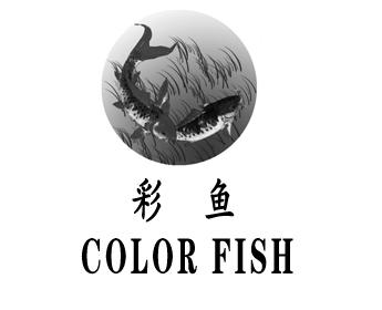 彩鱼 COLOR FISH;COLORFISH