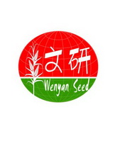 文研 WENYAN SEED;WENYAN SEED