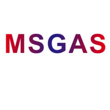 MSGAS;MSGAS