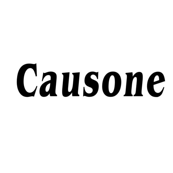 CAUSONE;CAUSONE