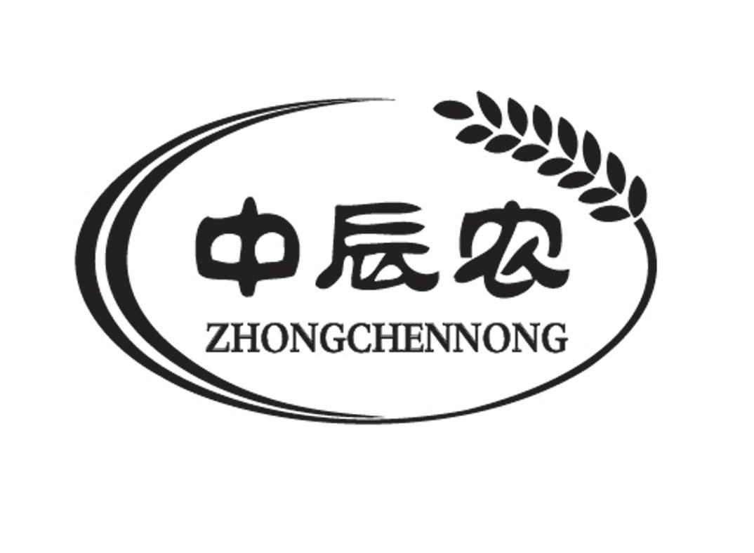 中辰农;ZHONGCHENNONG