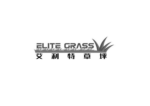 艾力特草坪;ELITE GRASS