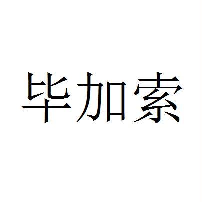 毕加索