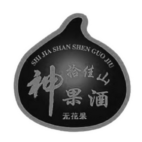 拾佳山神果酒无花果;SHI JIA SHAN SHEN GUO JIU