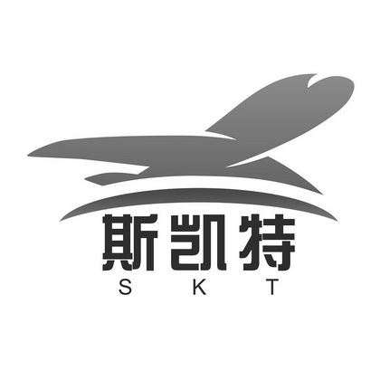 斯凯特 SKT;SKT