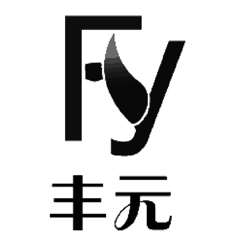 丰元 FY;FY