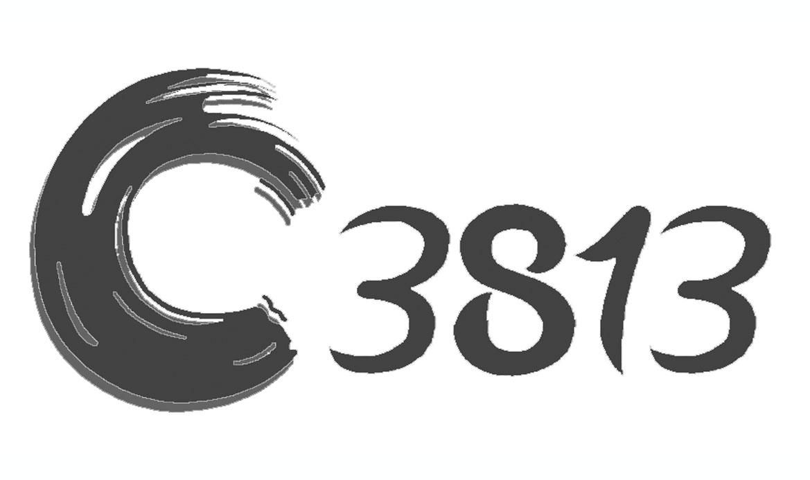 C 3813;3813