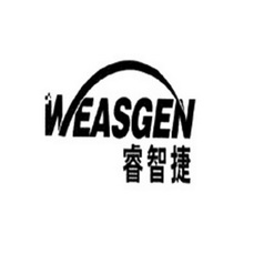 睿智捷 WEASGEN;WEASGEN