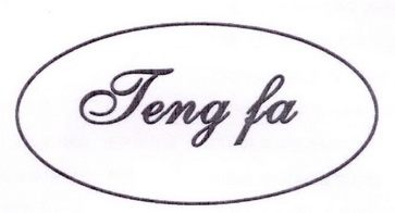 TENG FA;TENGFA