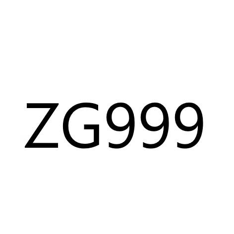 ;ZG999