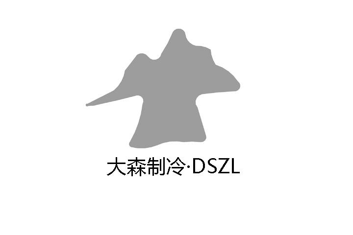 大森制冷 DSZL;DSZL