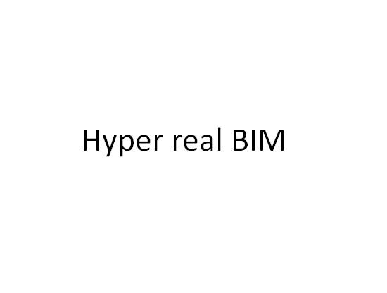 HYPER REAL BIM;HYPERREALBIM