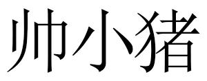 帅小猪