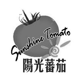 阳光番茄  SUNSHINE TOMATO;SUNSHINE TOMATO