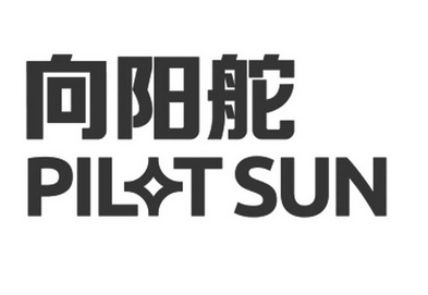 向阳舵;PILT SUN